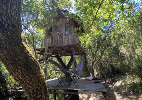 Photo album Tree House (4)